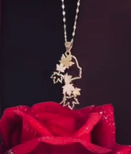 پلاک سفارشی